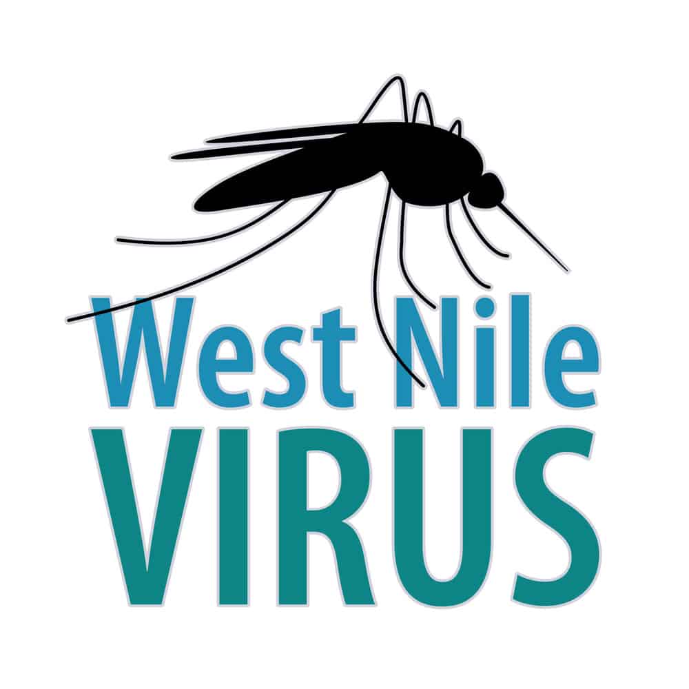 Mosquitoes With West Nile Virus Found in WestchesterRemove Standing