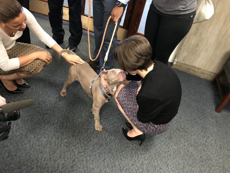 Legislators Cunzio & Perez Go After Animal Abusers
