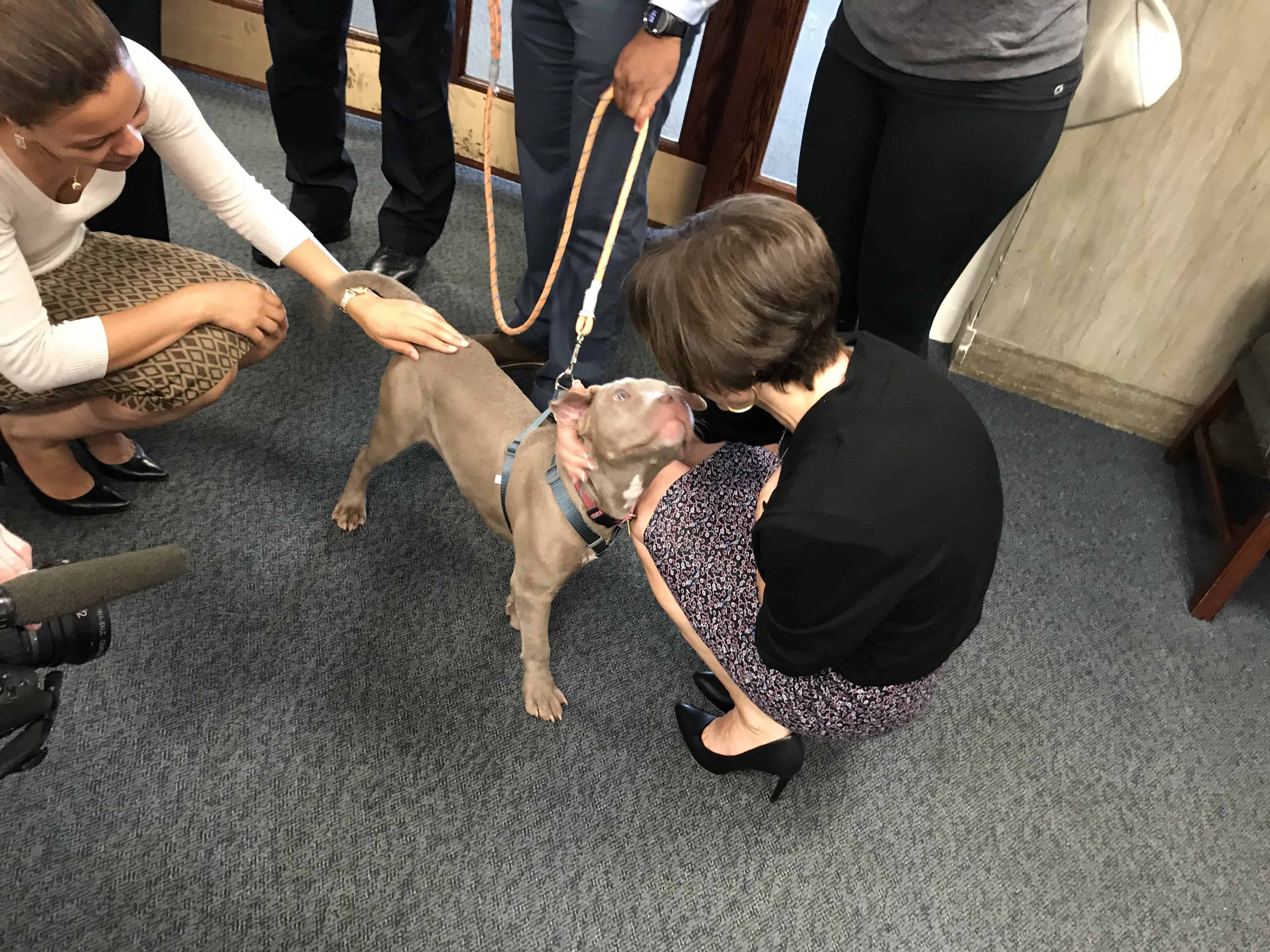 Legislators Cunzio & Perez Go After Animal Abusers Legislators Cunzio & Perez Go After Animal Abusers