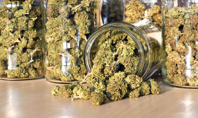 NY Health Dept. Says  OK to Legal Pot