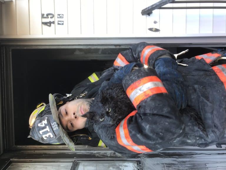 YFD Rescues Cat from Fire