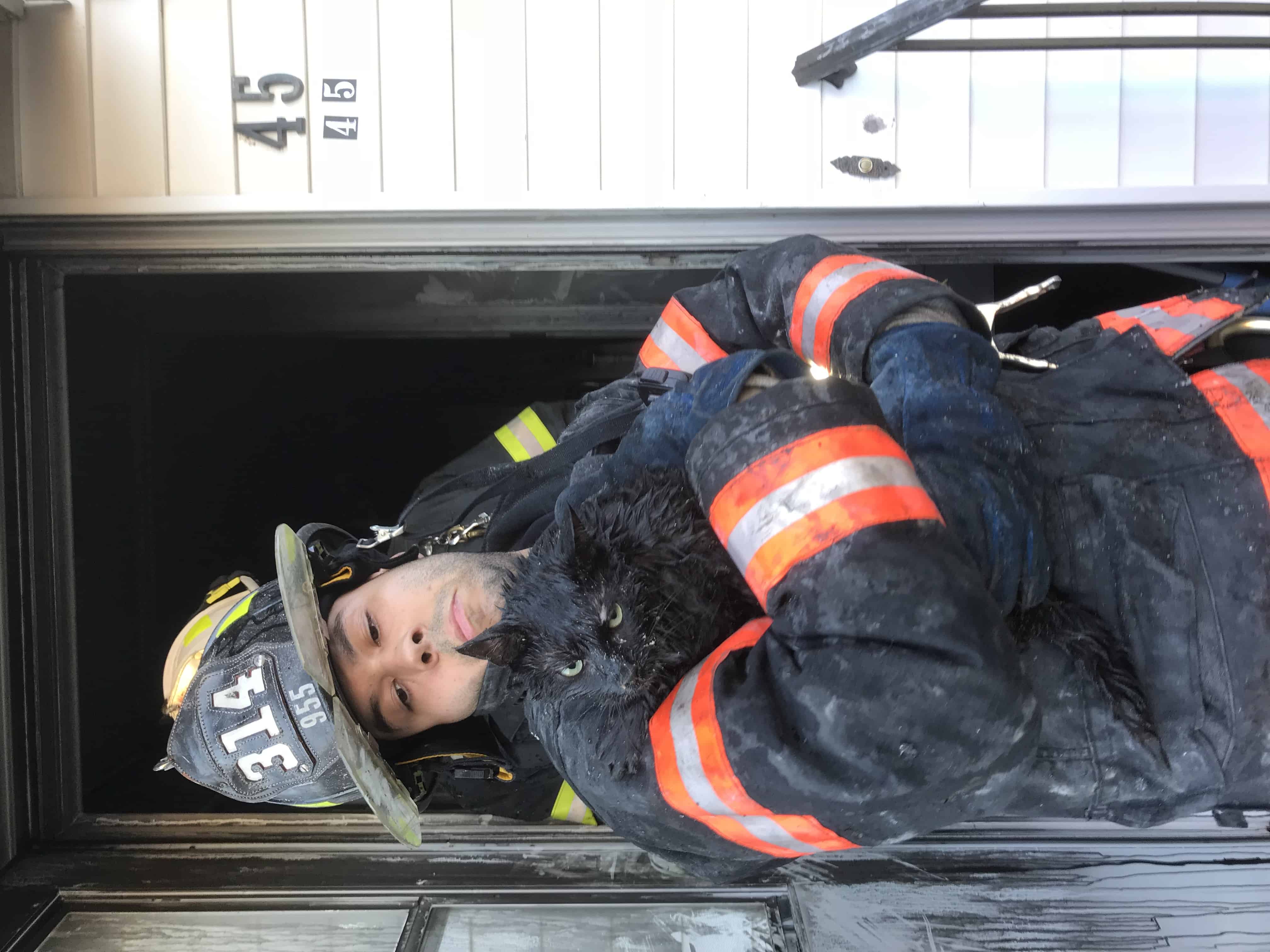 YFD Rescues Cat from Fire YFD Rescues Cat from Fire