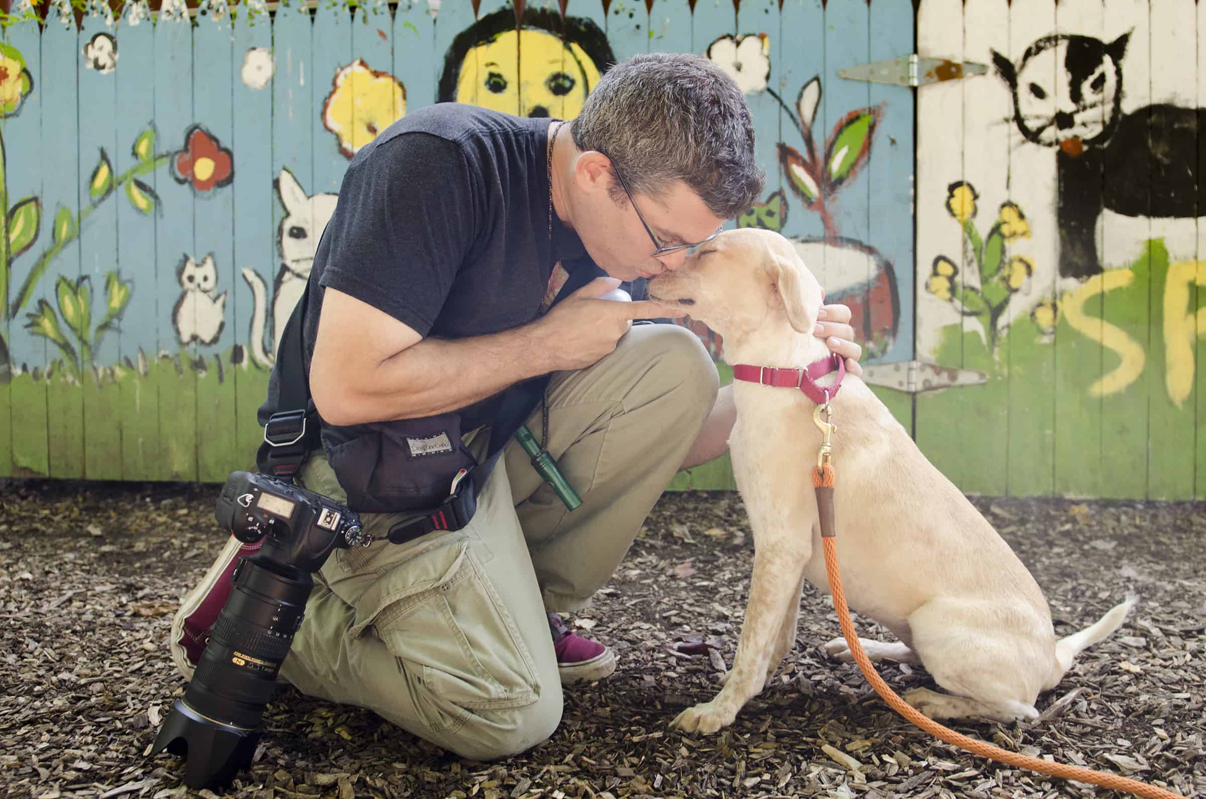 Pet Photographer Helps Animals Get Adopted Pet Photographer Helps Animals Get Adopted