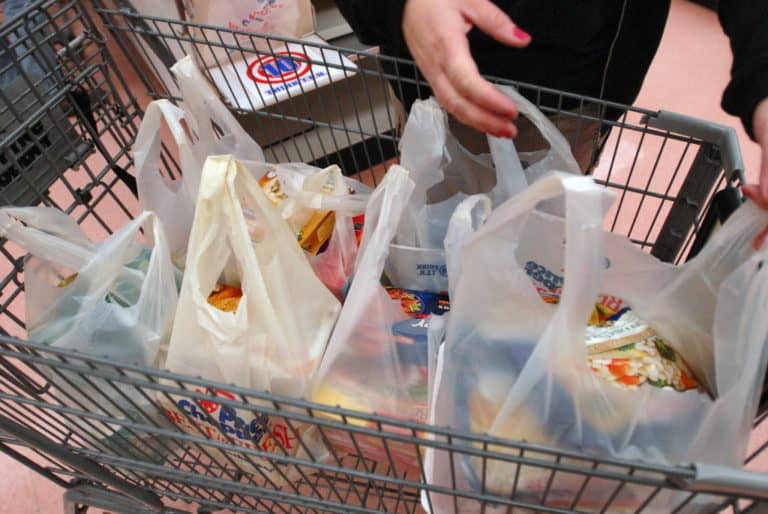 Spano Calls for  5-Cent Bag Fee
