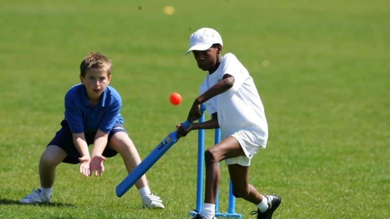 Hey Westchester- Cricket Anyone?