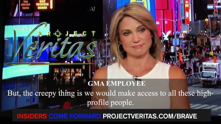 Jeffrey Epstein Coverup Exposed by Project Veritas
