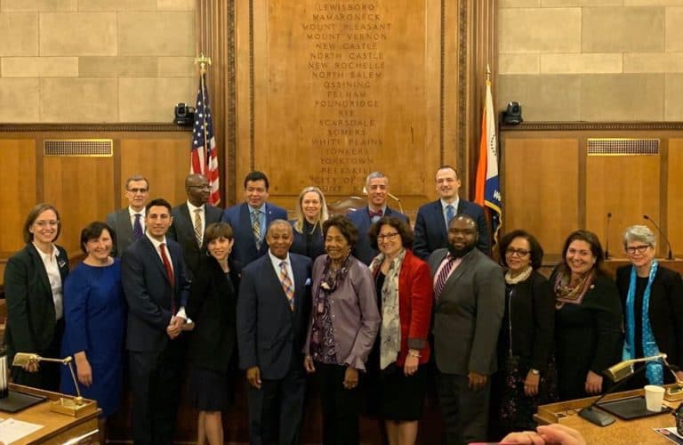 County Board of Legisaltors 2020