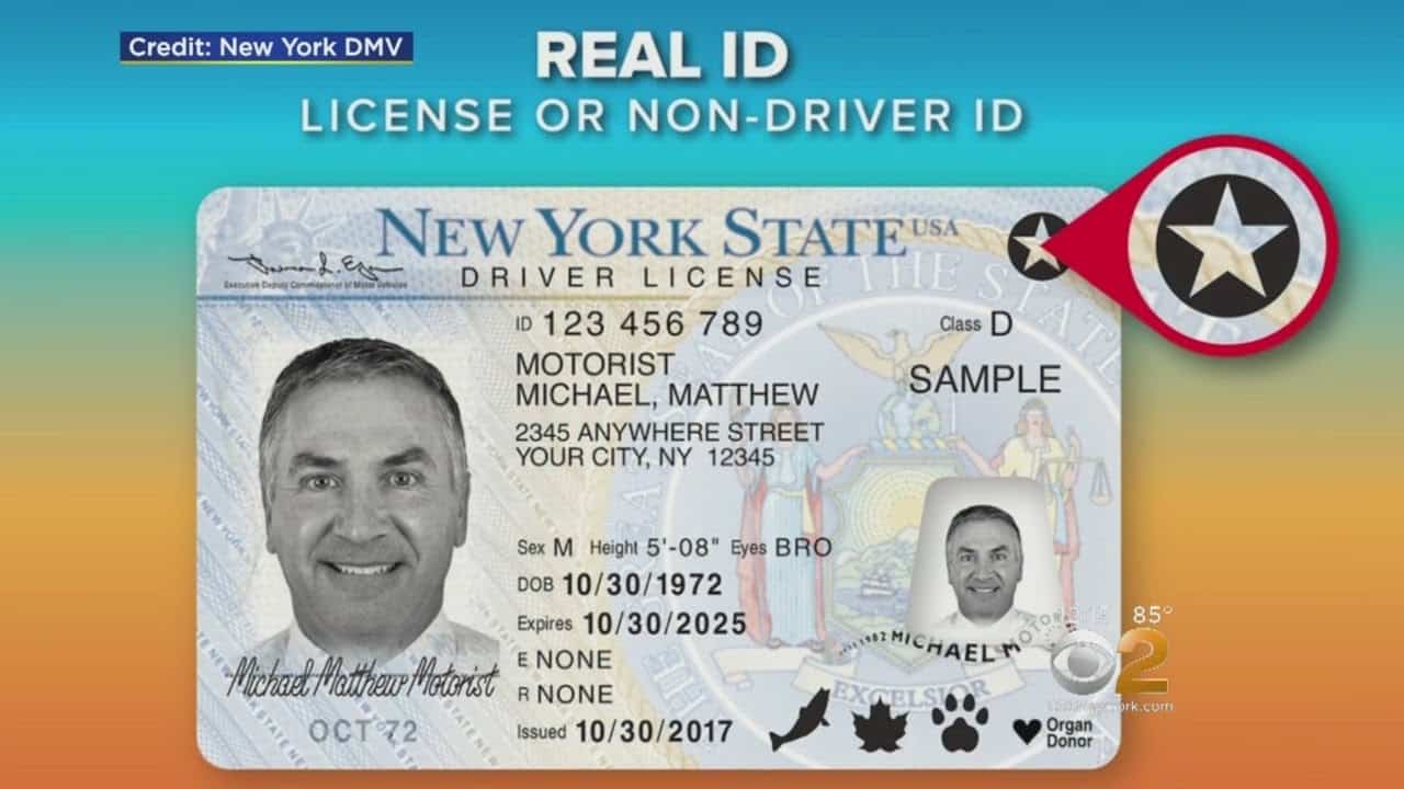 dmv non drivers license