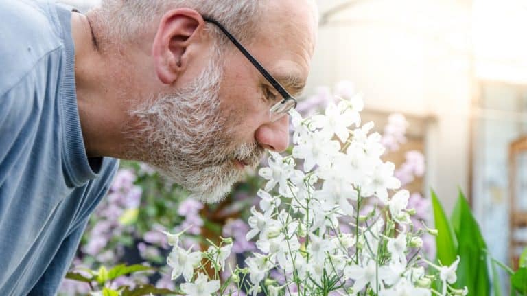 If You Can “Smell the Roses” Then You Don’t Have Coronavirus