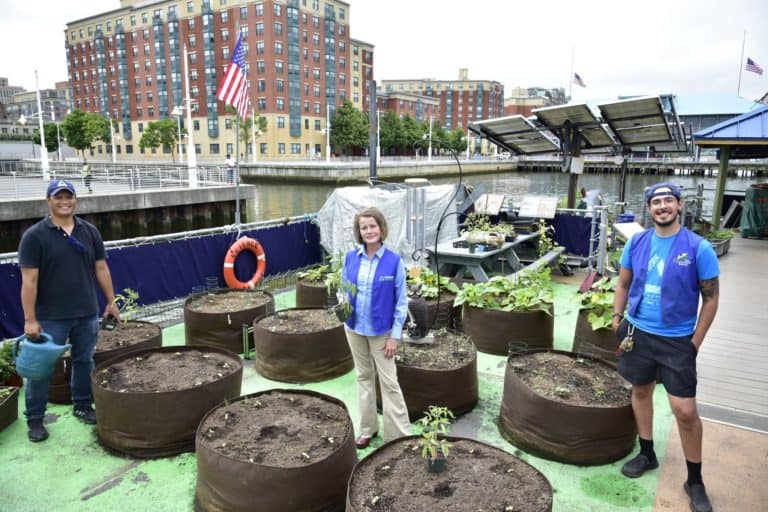 As Teen Unemployment Soars, Groundwork Expands Green Team
