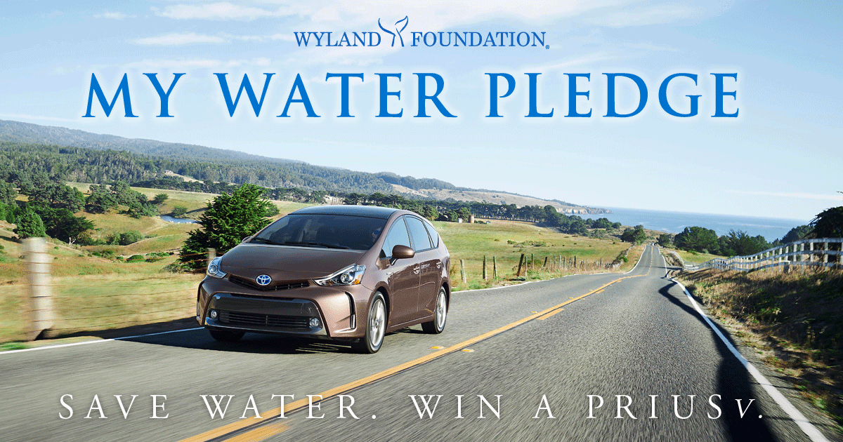 Mayor Spano: Take the Challenge for Water Conservation With Me Mayor Spano: Take the Challenge for Water Conservation With Me