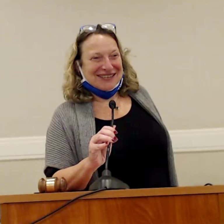 Suzanne Berger Elected County Democratic Chair