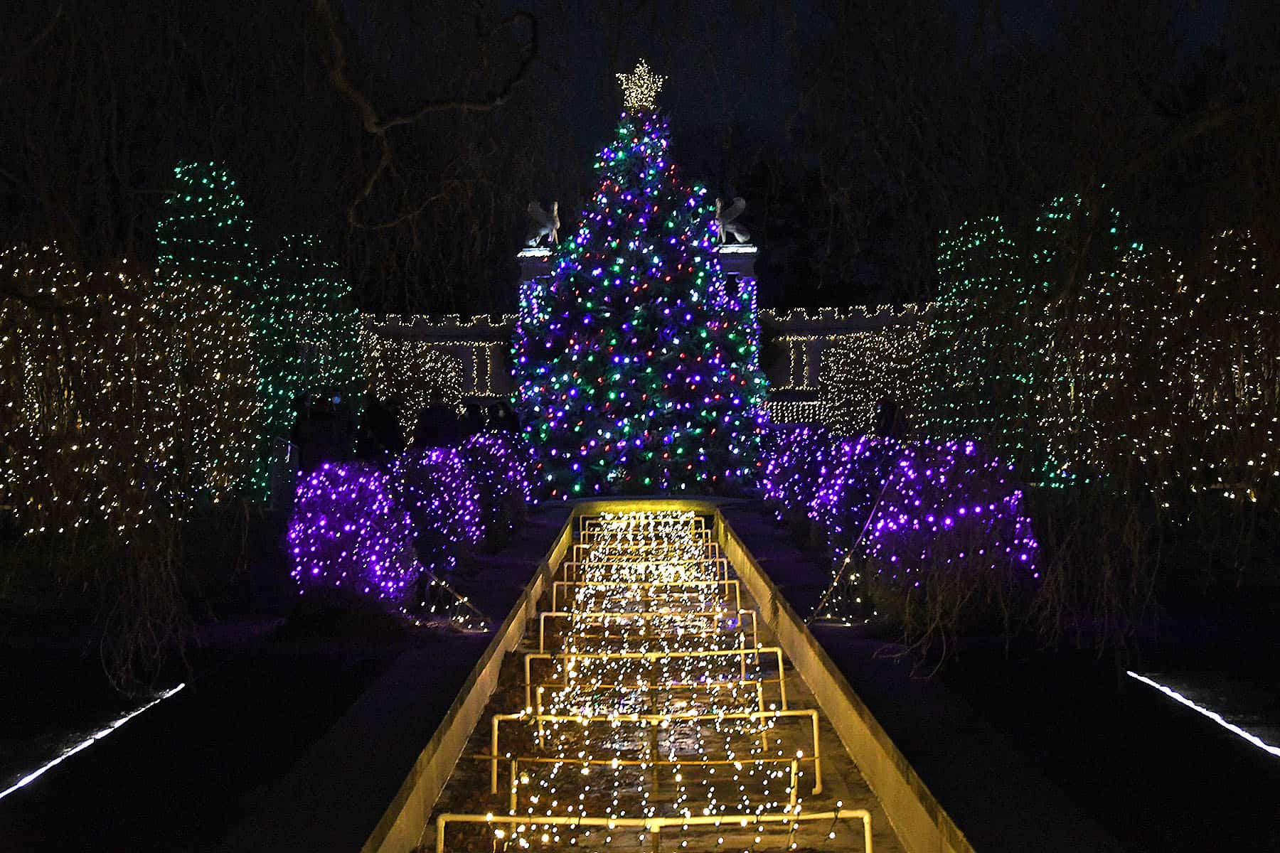 A Tree Gets a Second Life at Untermyer Gardens | Yonkers Times