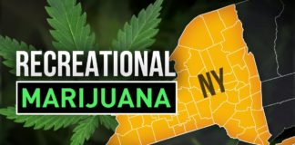 In 2021, New York State Heading Towards Legalizing Recreational Marijuana