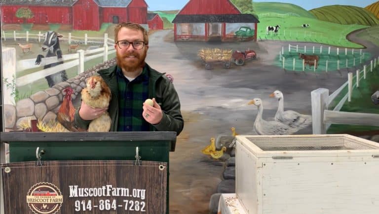 Cluxatawney Henrietta Predicts an Early Spring at Muscoot Farm