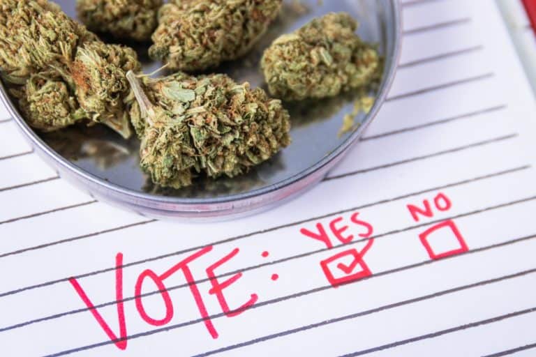 35% of Westchester Residents Oppose Legalizing Marijuana. Assemblymembers Galef & Byrne Voted No