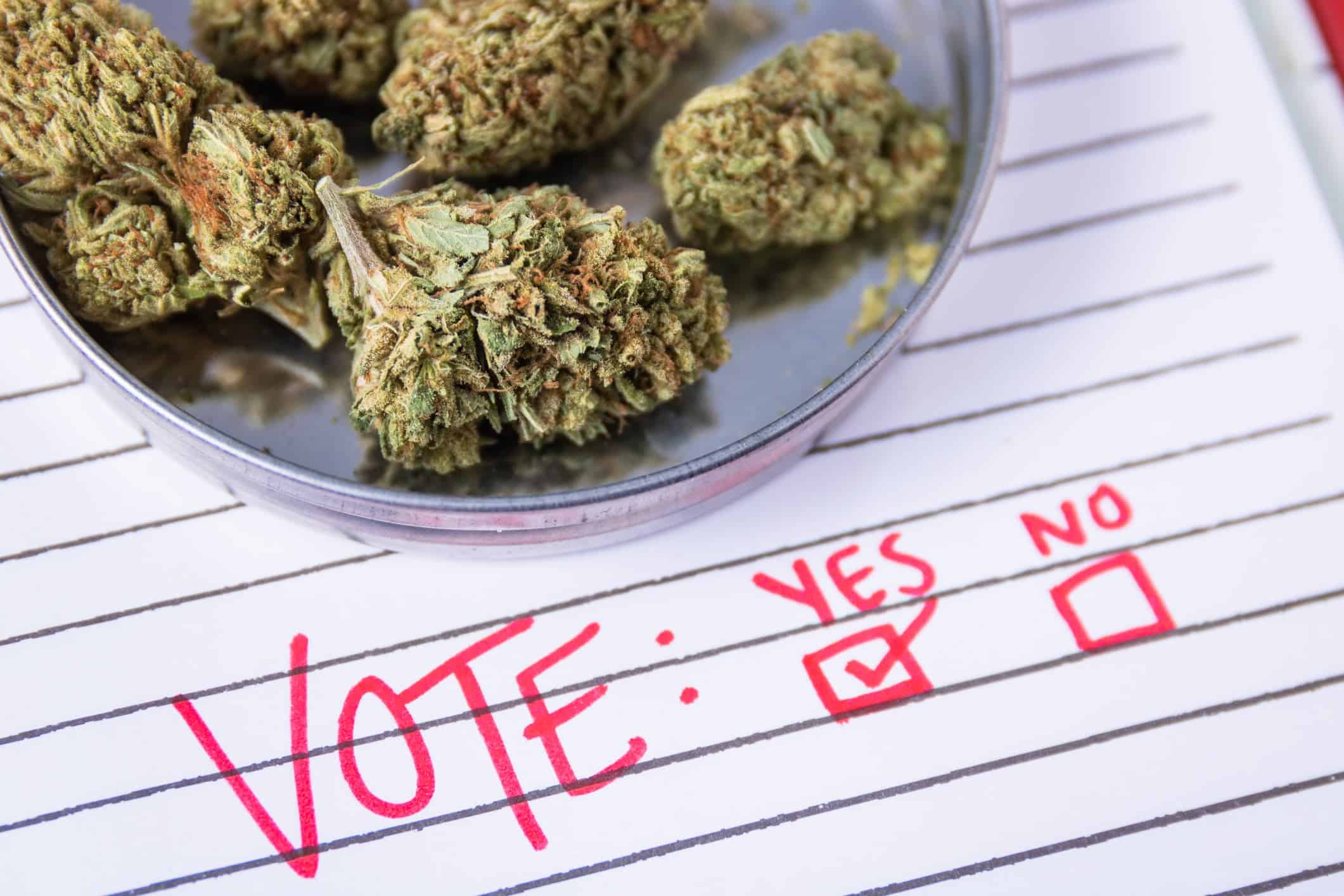 35% of Westchester Residents Oppose Legalizing Marijuana. Assemblymembers Galef & Byrne Voted No 35% of Westchester Residents Oppose Legalizing Marijuana. Assemblymembers Galef & Byrne Voted No