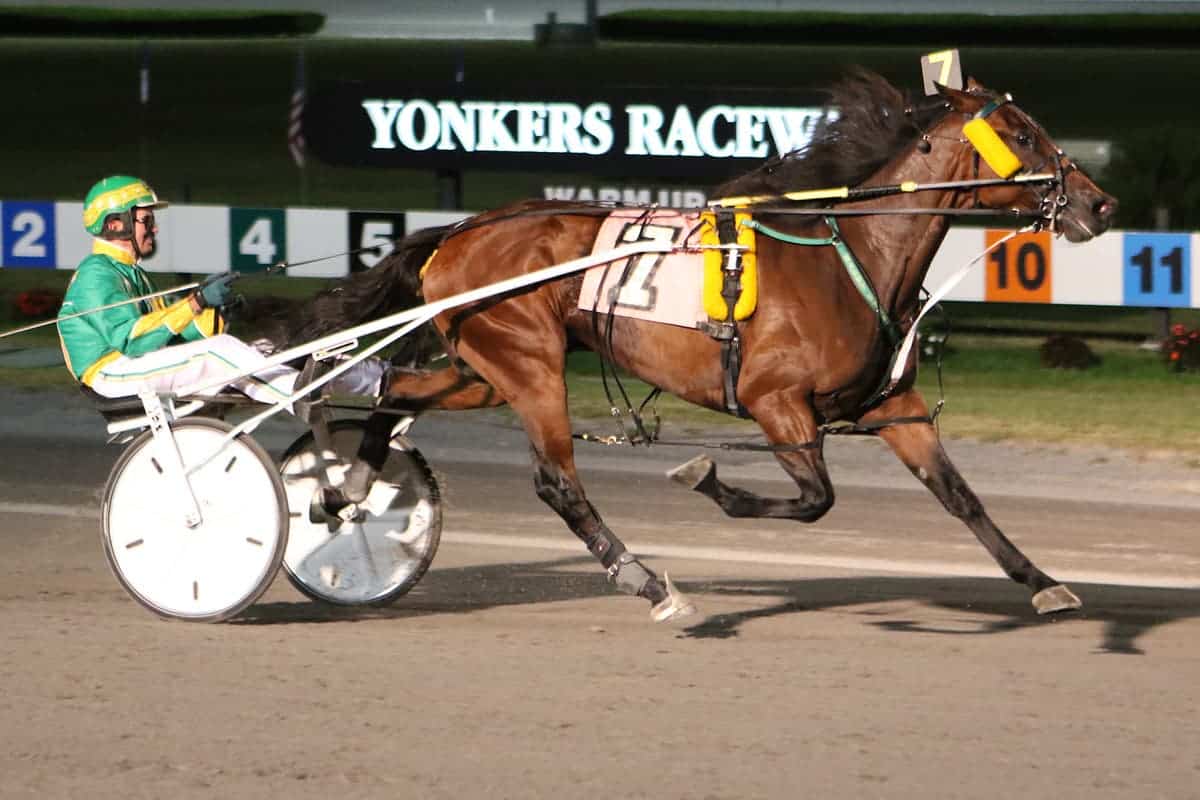 Fans Welcomed Back to Yonkers Raceway June 9 Fans Welcomed Back to Yonkers Raceway June 9