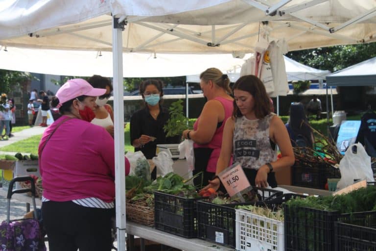 Yonkers Office for Aging to Distribute Coupons for Seniors to Use at Farmers Markets