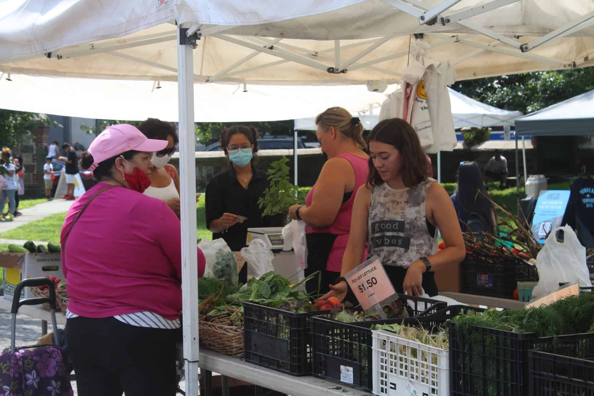 Yonkers Office for Aging to Distribute Coupons for Seniors to Use at Farmers Markets Yonkers Office for Aging to Distribute Coupons for Seniors to Use at Farmers Markets
