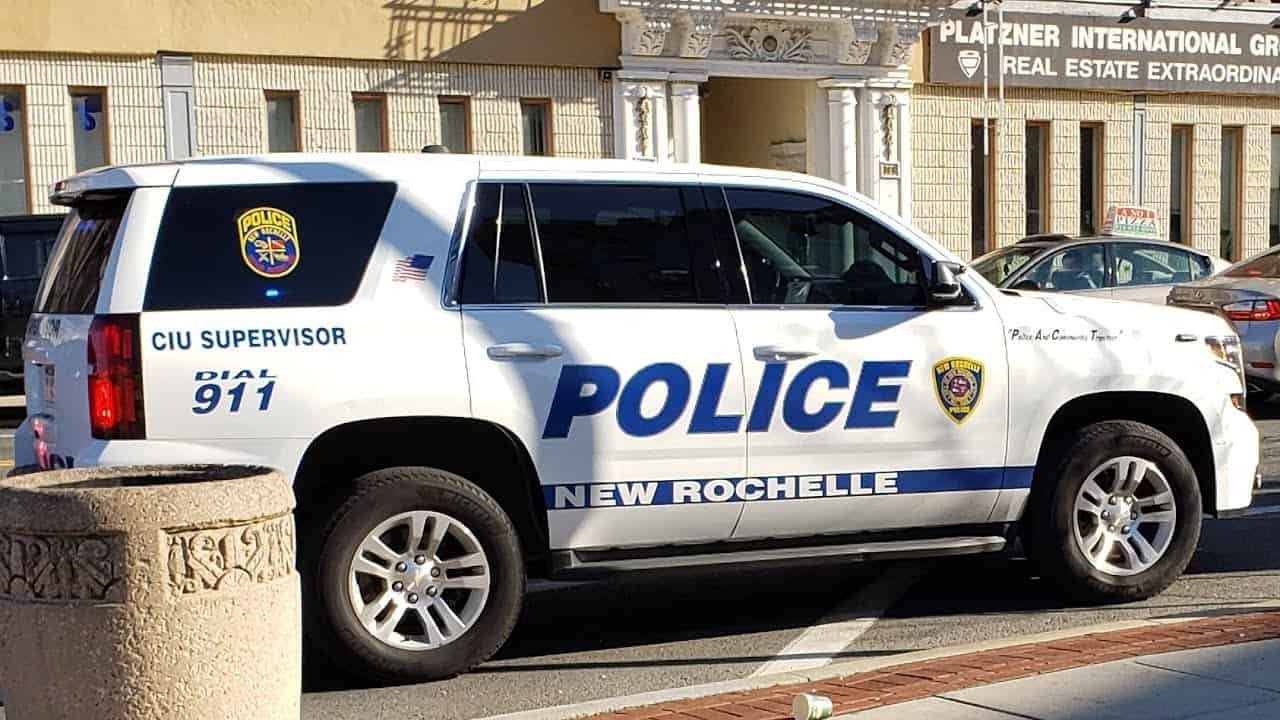 New Rochelle Traffic Stop Leads to Gun Arrest New Rochelle Traffic Stop Leads to Gun Arrest
