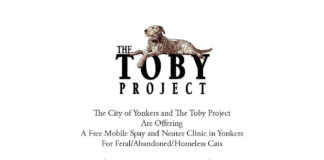 The Toby Project and City of Yonkers Offer Free, Mobile Spay-Neuter Clinic Aug. 30