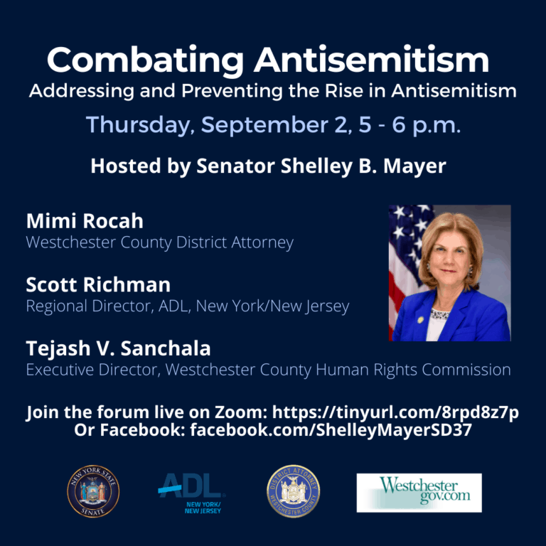 State Senator Shelly Mayer Hosts Virtual Forum on Antisemitism