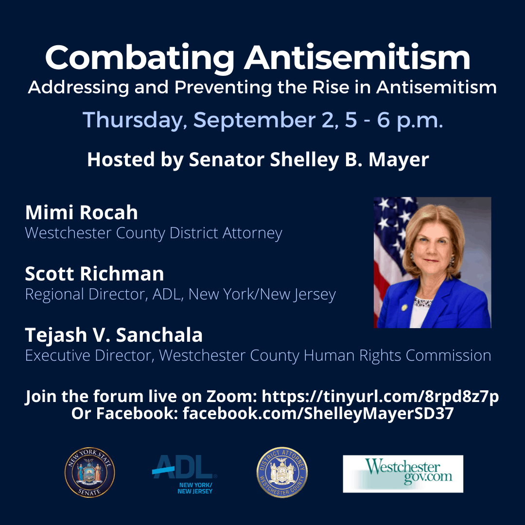 State Senator Shelly Mayer Hosts Virtual Forum On Antisemitism ...