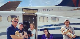 SPCA Welcomes 21 Dogs Flown in for Adoption