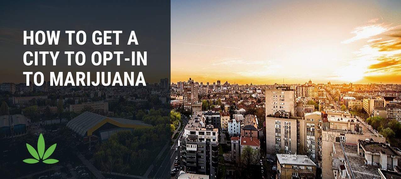 Embrace Retail Cannabis, New York: Why Localities Should Opt in Embrace Retail Cannabis, New York: Why Localities Should Opt in