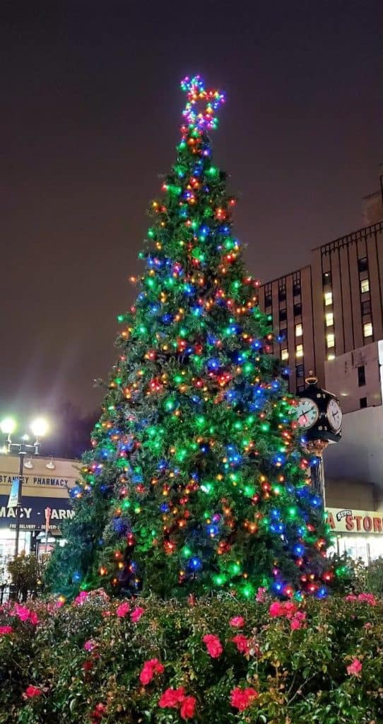 Getty Square Tree Lighting Celebration Downtown Yonkers BID Yonkers Times