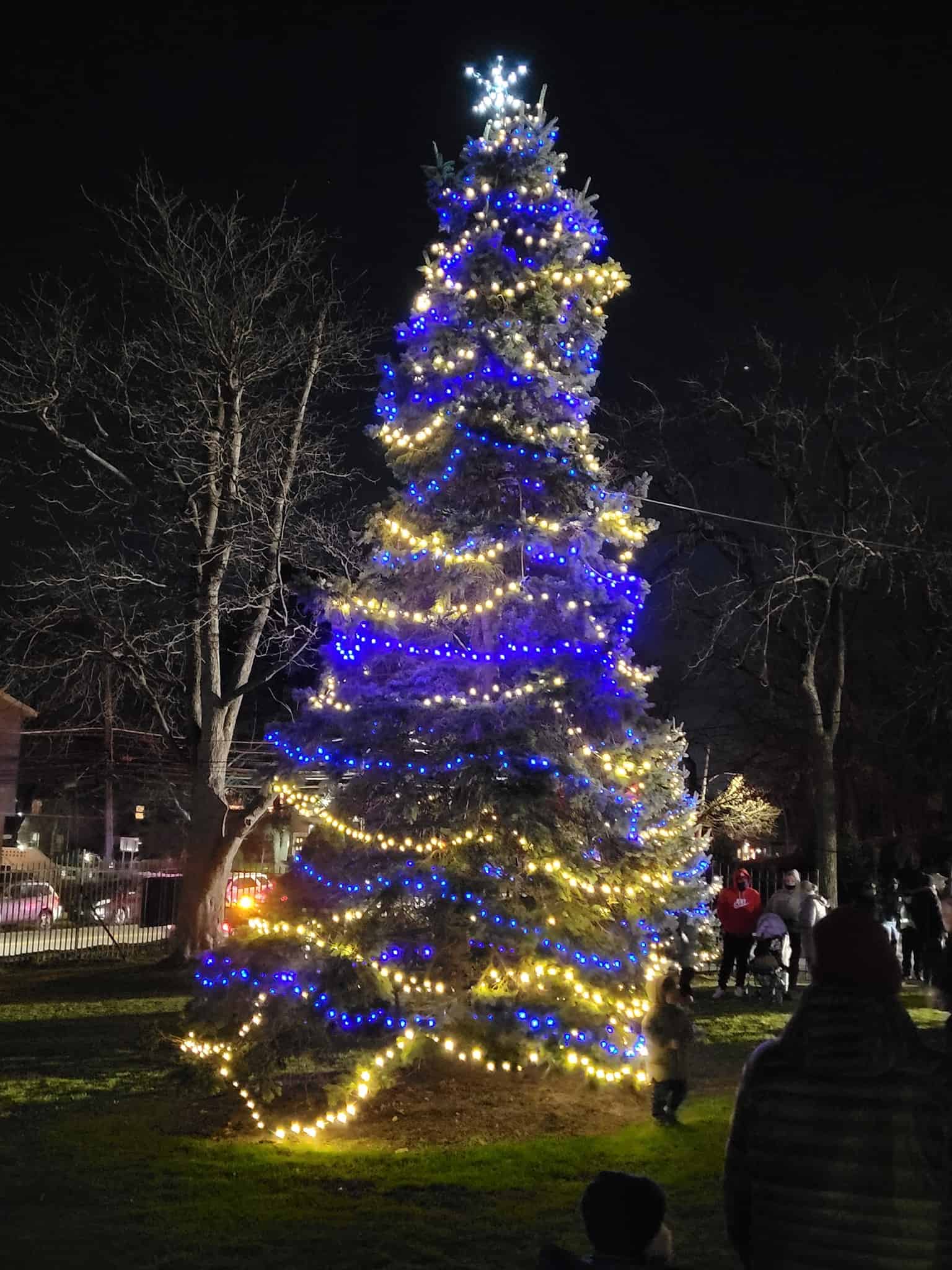 Untermyer Performing Arts Council’s Caroling for a Cause and 25th Annual Community Tree Lighting Untermyer Performing Arts Council’s Caroling for a Cause and 25th Annual Community Tree Lighting