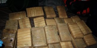 Major Drug Trafficker Indicted for DEA Drug Bust with 50 Kilos of Cocaine
