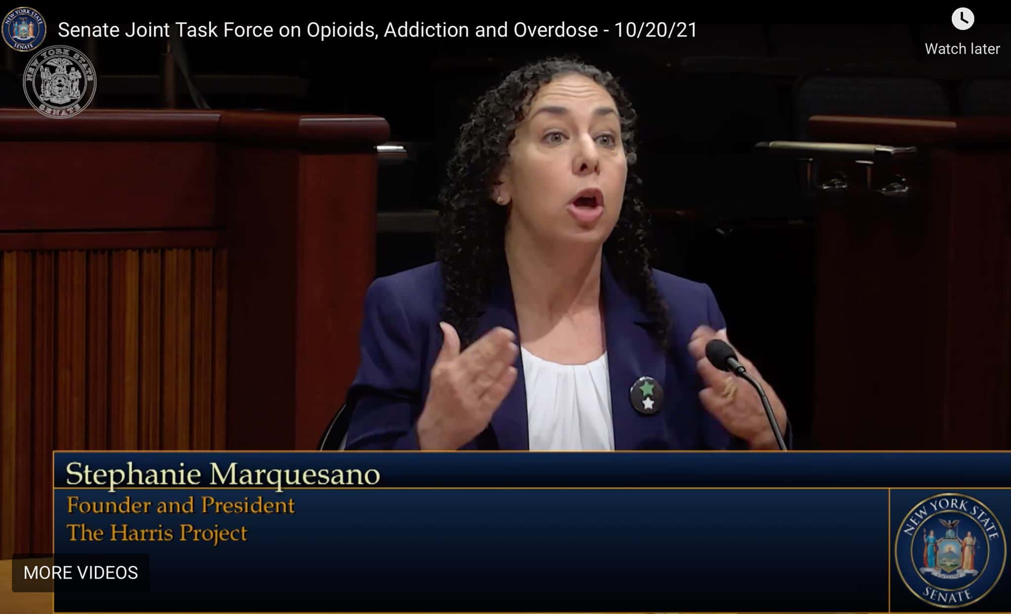 Majority Leader Stewart-Cousins Appoints Ardsley Resident to Opioid Settlement Board Majority Leader Stewart-Cousins Appoints Ardsley Resident to Opioid Settlement Board