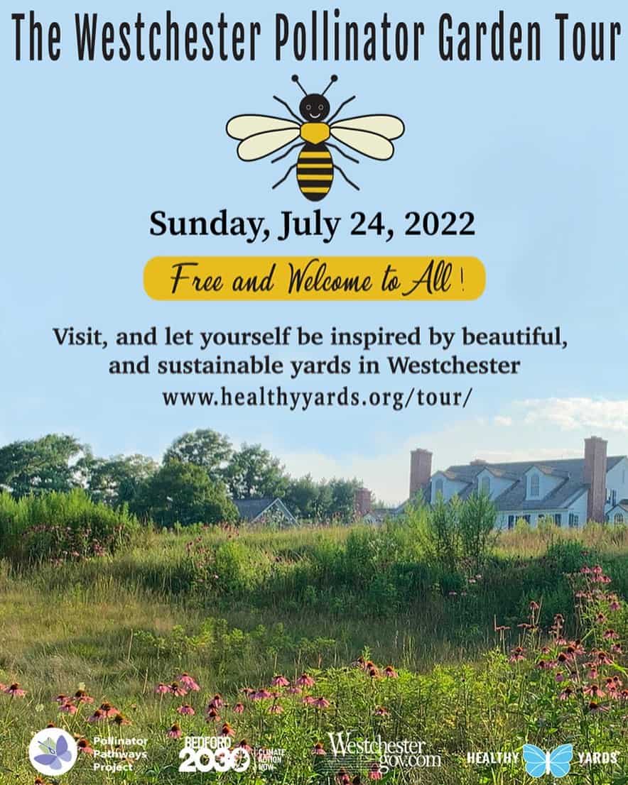 More than 50 Westchester Gardens Open July 24 for Pollinator Garden Tour More than 50 Westchester Gardens Open July 24 for Pollinator Garden Tour