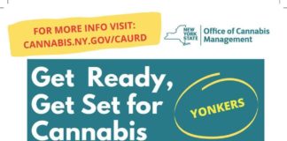 NYS Office of Cannabis Management Information Meeting Aug. 25 Yonkers Riverfront Library