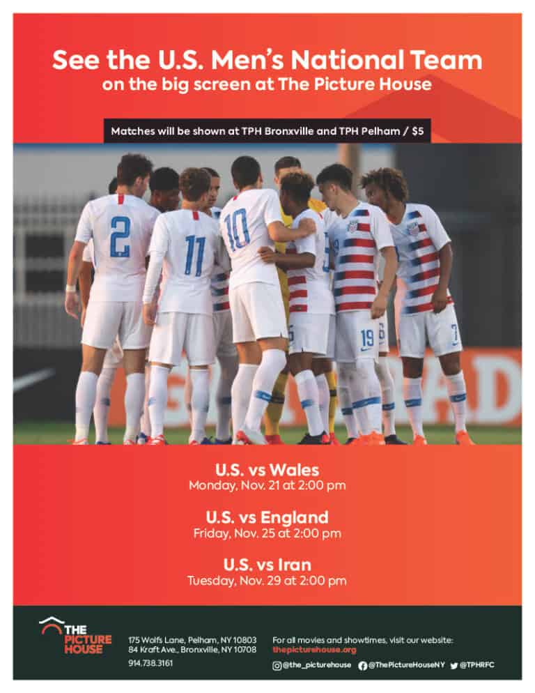 Watch the World Cup on the Big Screen at The Picture House