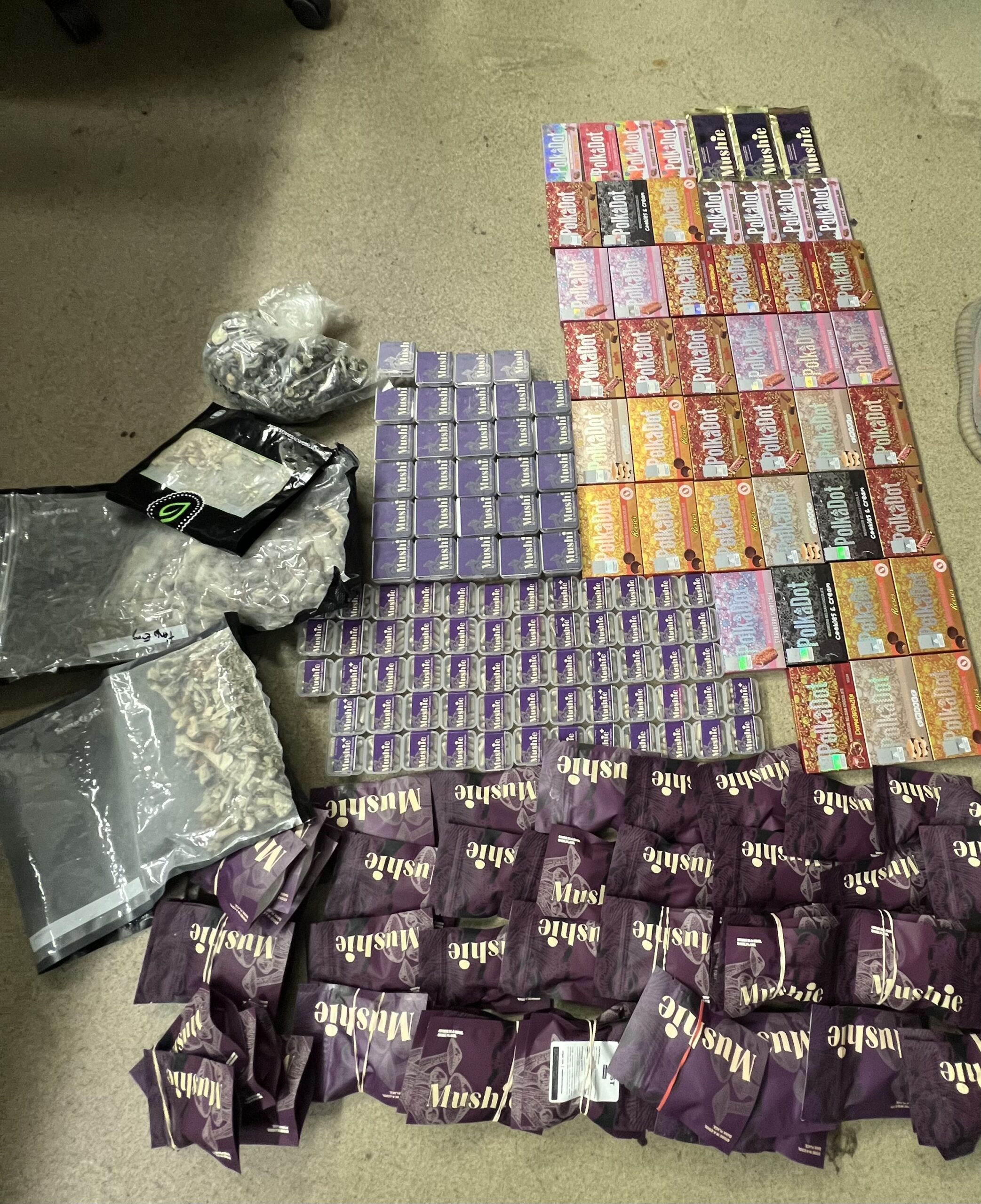 1,500 Phychedelic Mushroom Pills Seized in East Village 1,500 Phychedelic Mushroom Pills Seized in East Village