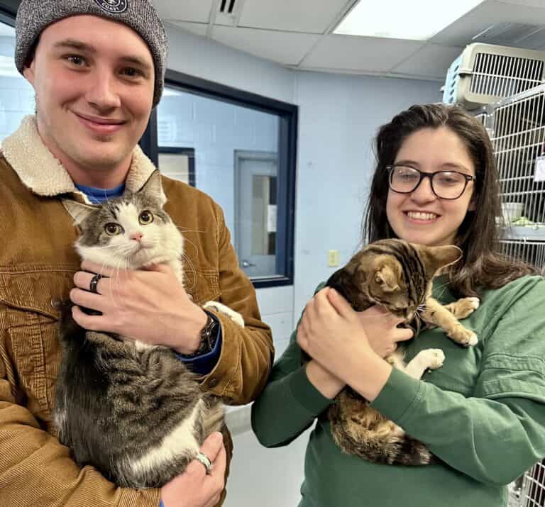 Animals Lovers Come to the Rescue of 200 Cats Found in Yonkers Hoarding House