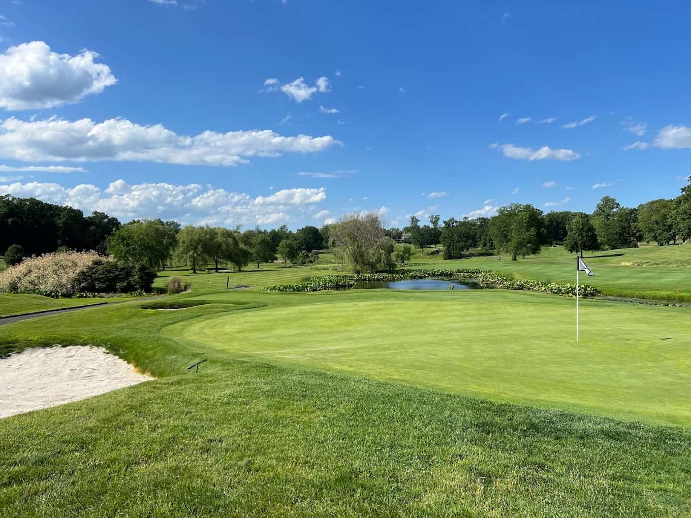 Harrison on Course to Purchase Willow Ridge Club, - Rye Record