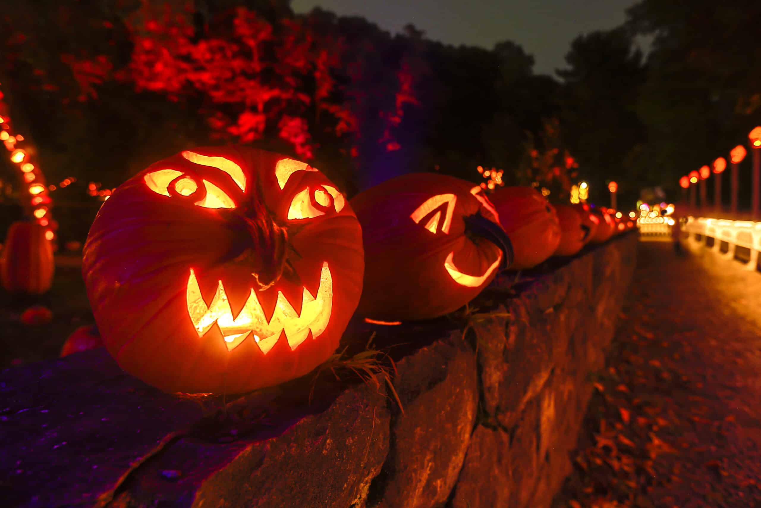 The Great Jack O’Lantern Blaze Returns to Westchester The Great Jack O’Lantern Blaze Returns to Westchester