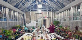 Winter Train Show at Hudson Park, New Rochelle Jan. 14 & 21
