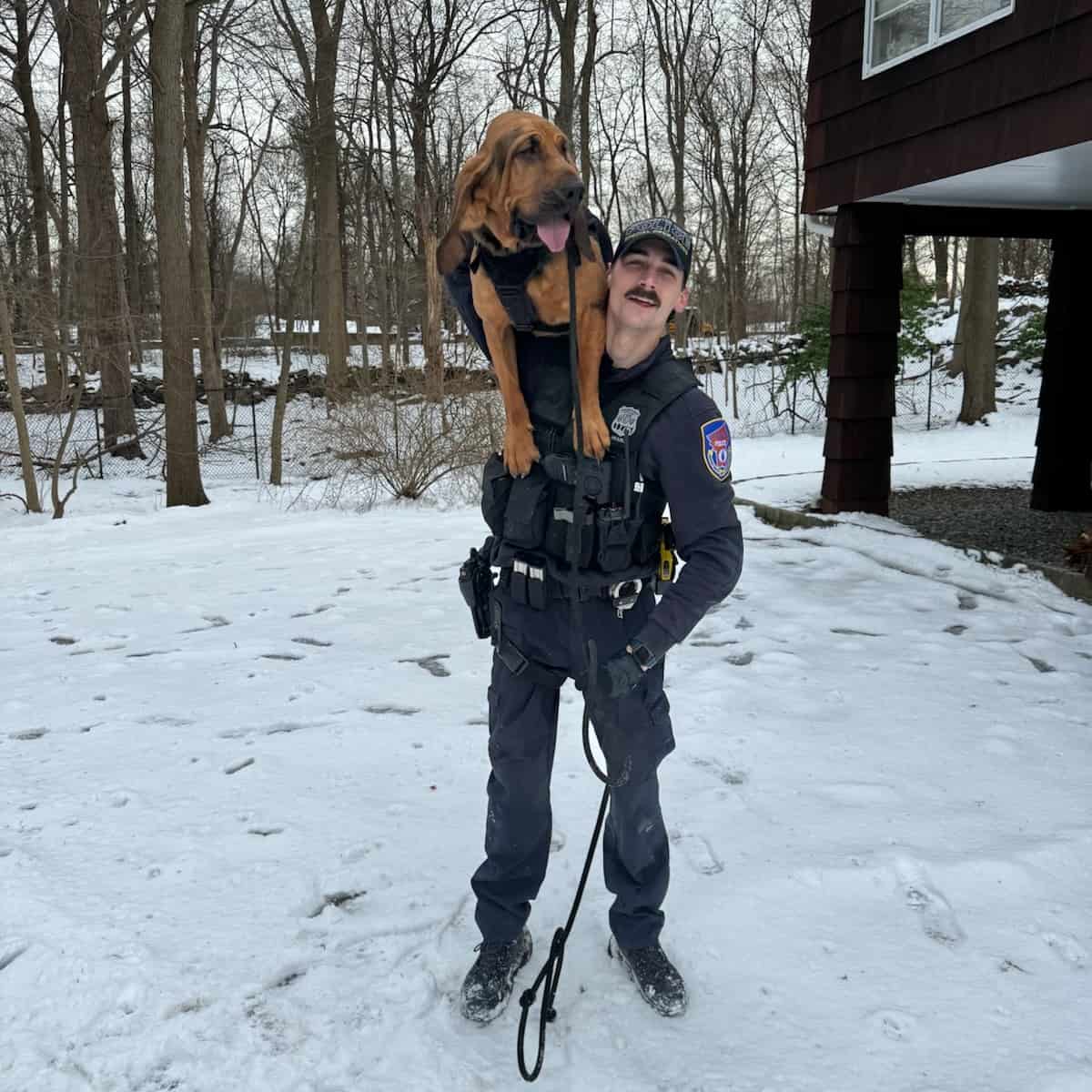 Westchester County Police K-9 Helps Arrest Teens Fleeing in Stolen Cars Westchester County Police K-9 Helps Arrest Teens Fleeing in Stolen Cars