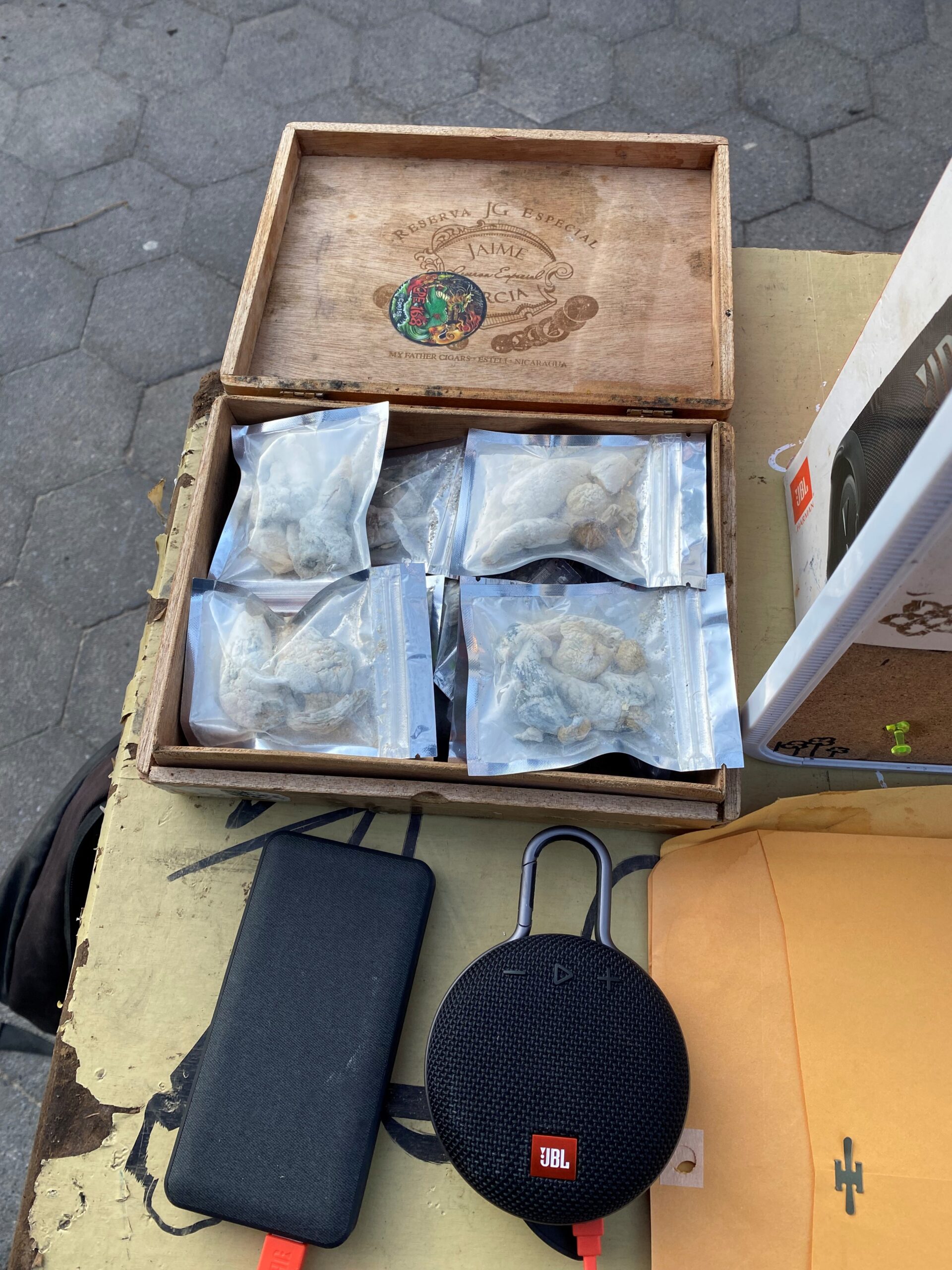 Investigation Targets Open Sale of Mushrooms & Cocaine in Washington Square Park Investigation Targets Open Sale of Mushrooms & Cocaine in Washington Square Park