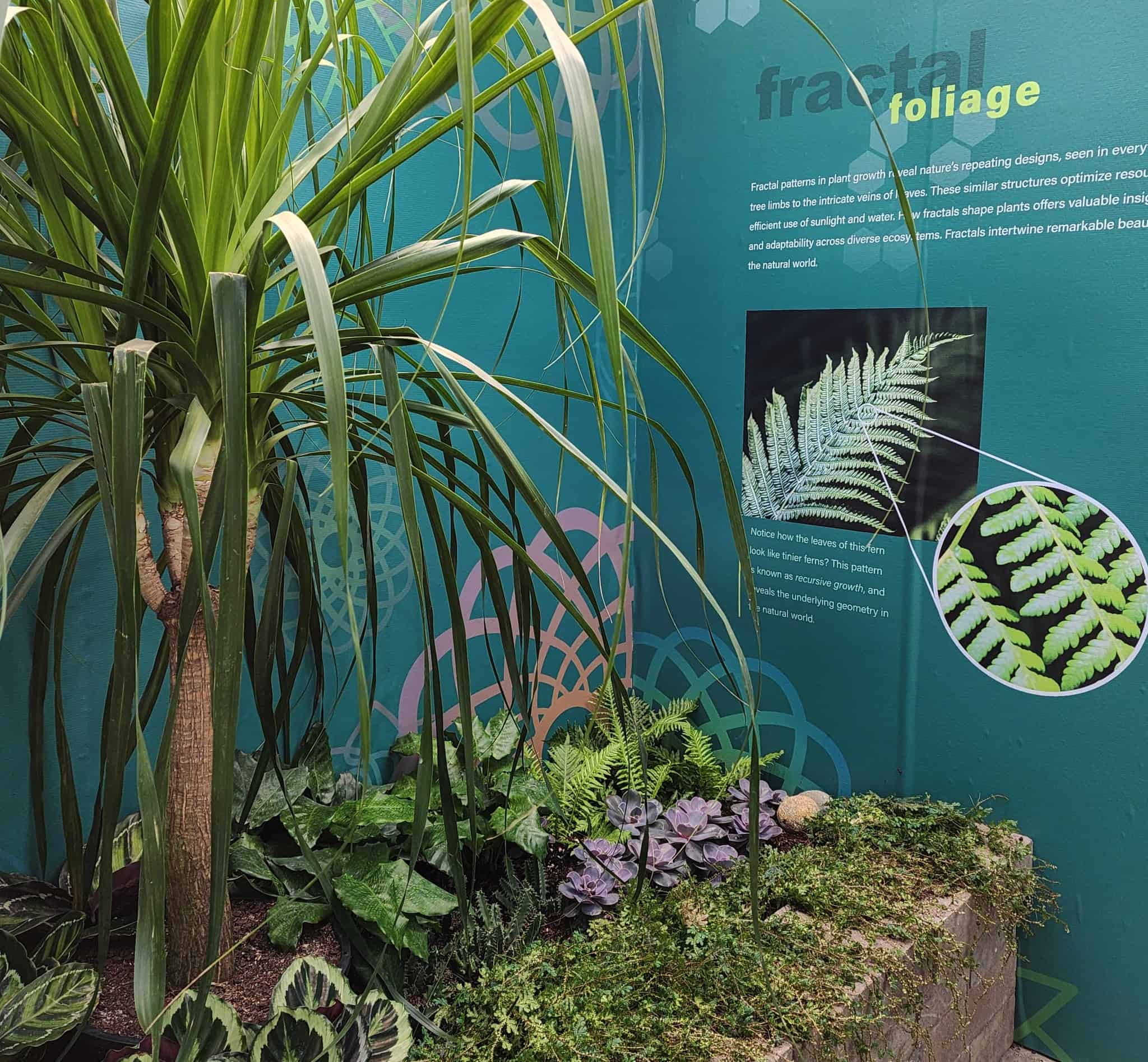 Experience Patterns In Nature at Lasdon Park Experience Patterns In Nature at Lasdon Park