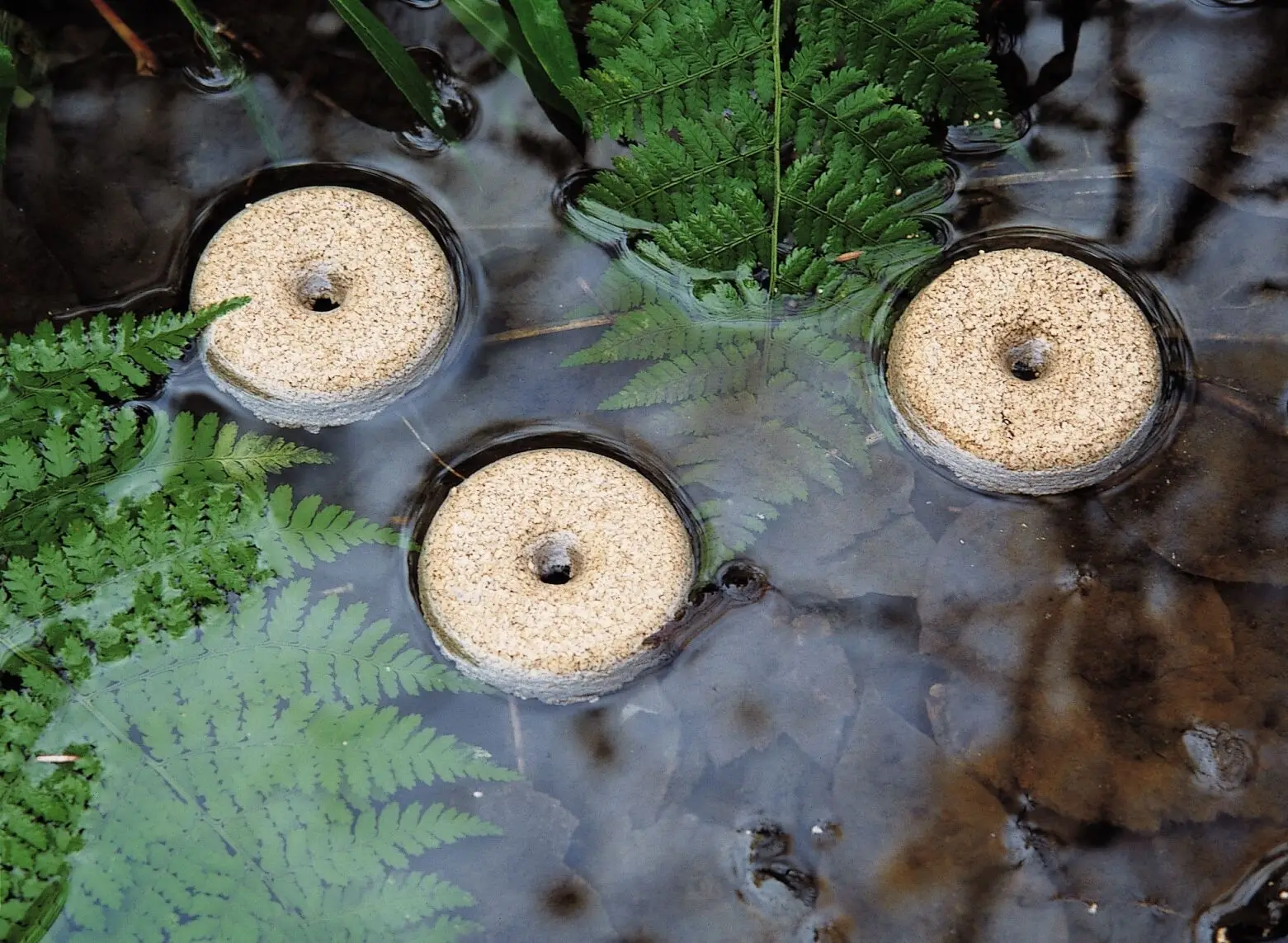 WESTCHESTER COUNTY HEALTH DEPARTMENT OFFERS FREE DUNKS TO COMBAT MOSQUITOS WESTCHESTER COUNTY HEALTH DEPARTMENT OFFERS FREE DUNKS TO COMBAT MOSQUITOS