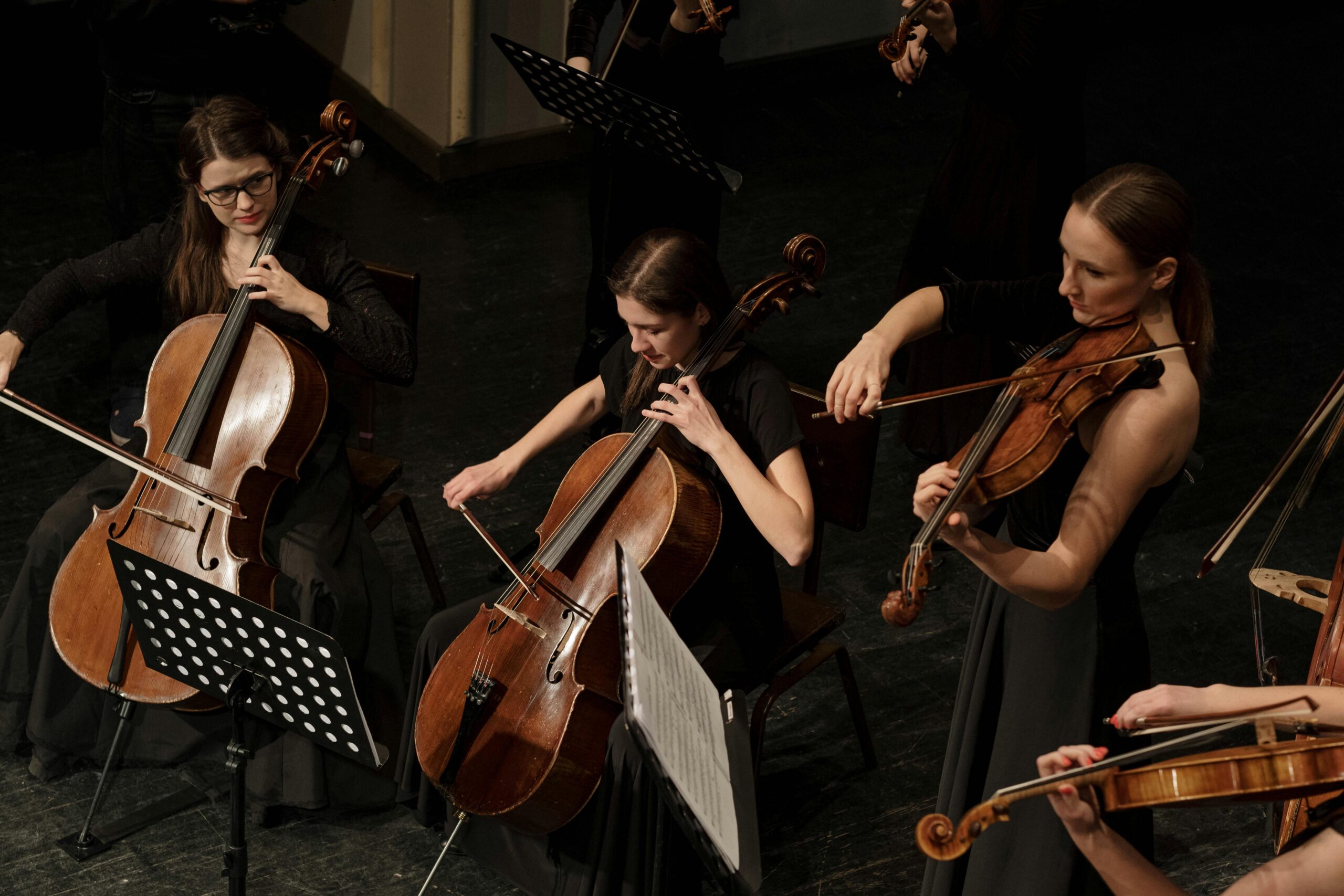 Experience the Rich Sound of Atlanta with Double Bass Rentals Experience the Rich Sound of Atlanta with Double Bass Rentals