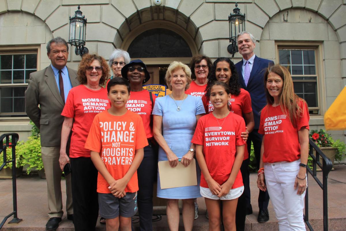 Senator Mayer Urges Governor to Sign Critical Gun & Public Safety Legislation Senator Mayer Urges Governor to Sign Critical Gun & Public Safety Legislation