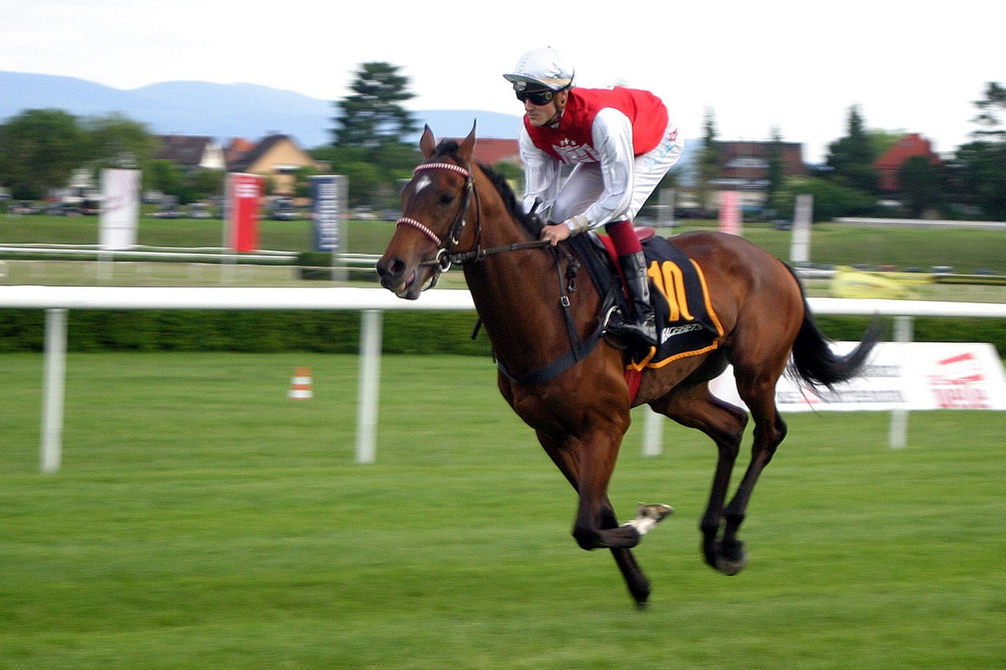 The Irresistible Allure: Why Betting on Horse Races Captivates So Many The Irresistible Allure: Why Betting on Horse Races Captivates So Many