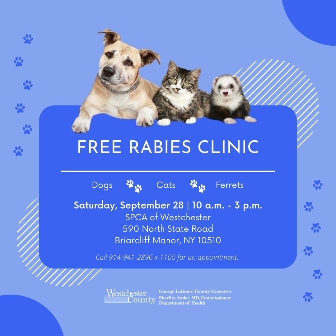 WESTCHESTER COUNTY PETS CAN RECEIVE FREE RABIES VACCINES AT SPCA OF WESTCHESTER WESTCHESTER COUNTY PETS CAN RECEIVE FREE RABIES VACCINES AT SPCA OF WESTCHESTER